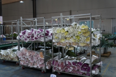 “双节”重叠  云花坐火车奔赴全国送甜蜜
