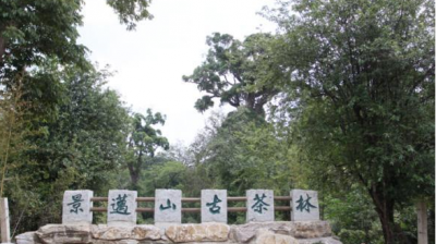 定了，云南景迈山古茶林文化景观被国务院批准为中国2022年正式申遗项目