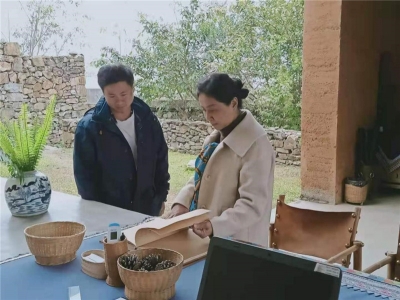 云南省文化和旅游厅赴红河州开展品牌创建现场验收工作
