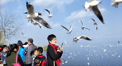 大年初一，玉溪通海旅游人气火爆 创同期历史新高 