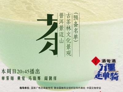 万里走单骑节目走进景迈山古茶林！今晚20：45锁定浙江卫视 