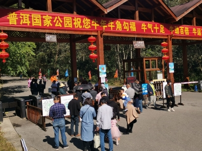 普洱春节假期接待游客44万余人次，“云端大过年”人气旺！