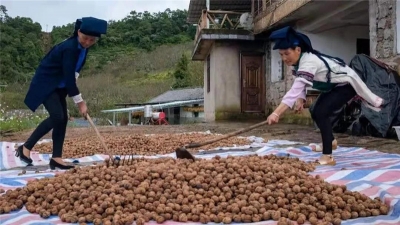 脱贫攻坚的云南答卷丨保山：接续奋战振兴乡村