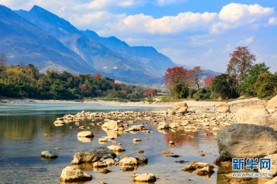 云南保山木棉花开 红艳怒江之畔（图）