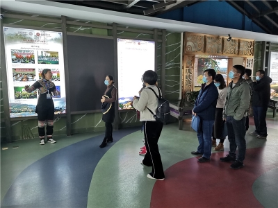 云南省文化和旅游厅赴红河州开展品牌创建现场验收工作