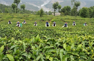 【大理乡村自在游】南诏寻迹 艺赏花灯 无量大美
