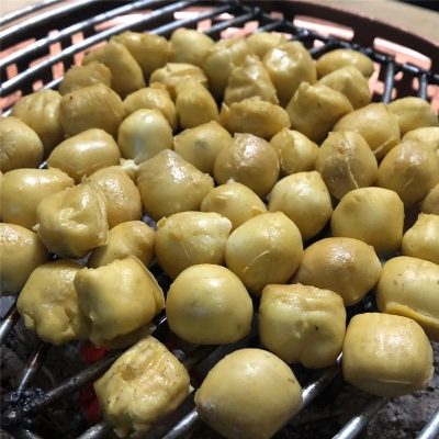 就地过年在红河，欢乐新春不打烊！