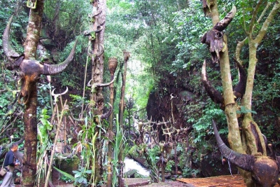 神秘佤山引人游（下）
