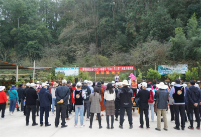 玉溪市通海县2021年春节五山（三）腔网络大赛圆满结束