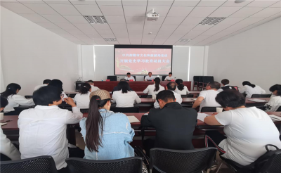 弥勒市文化和旅游局召开党史学习教育动员大会