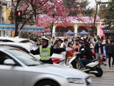 连续2天堵成“猪肝色”！昨天2万人扎堆昆明这里赏花！市民：人比花多...