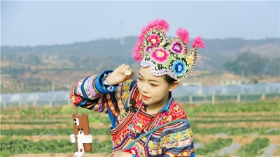 图集丨直播镜头下的莲池乡草莓种植园