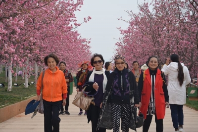 云南省文旅厅离退办组织老同志开展庆祝“三八”妇女节活动