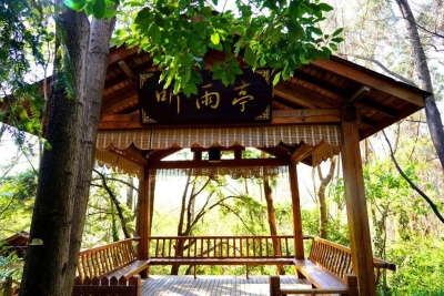 发现世博园之美丨一方小亭，将深情收敛于方寸之间