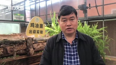 视频｜旅游大巴来易门，他们来自何方，又去哪里？请在视频中找答案