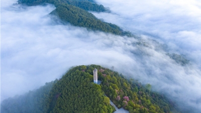 【读城】我的答案赧于出口（组诗）