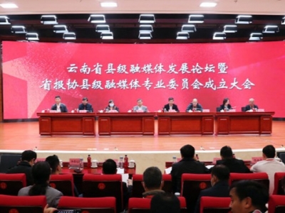 云南省报协县级融媒体专业委员会成立