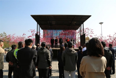 玉溪新平“樱花节”正式启动，似锦繁花邀你赴约！
