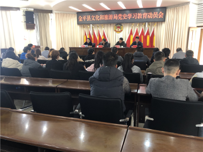 金平县文化和旅游局召开党史学习教育动员大会