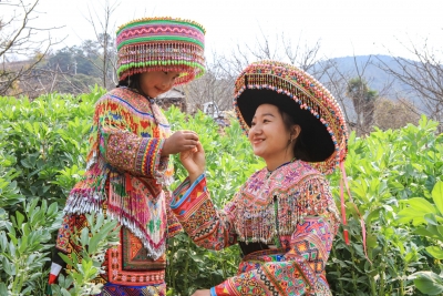 跟着“十八一朵花”的绚丽，走进保山昌宁！