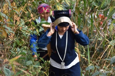 元江羊街乡：哈尼族传承技艺开出春日里的幸福花