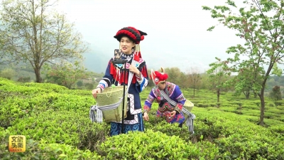 视频 | 2021V旅游 踏春寻虎非遗行