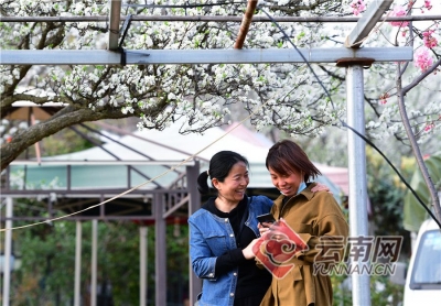 云南玉溪市：乡村旅游热