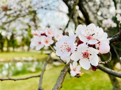 【活动预告】探秘泸西阿庐古洞，一起去看花花世界
