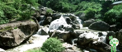 中国天然氧吧专题片