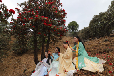 清明节就去轿子山！山花时节好踏青，蓑衣斗笠汉服行