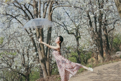 天青色等烟雨，我在个旧加级寨梨花谷等你……