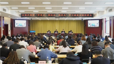 “学党史、强信念、跟党走” 共青团云南召开学习教育安排部署会