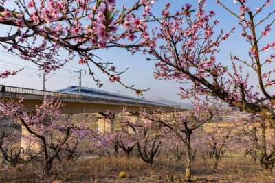 清明假期：云南铁路每天开180多对客车 踏青赏花更便捷