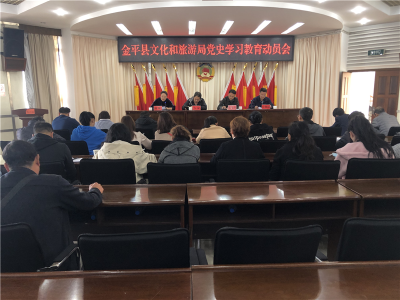 金平县文化和旅游局召开党史学习教育动员大会