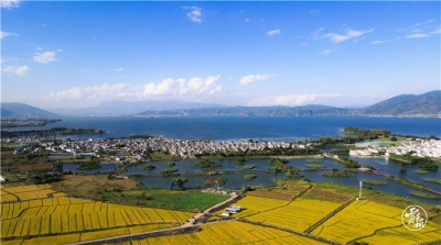 洱海生态廊道：智慧化守护水清岸绿