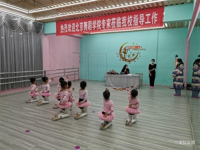 玉溪市加强寒假社会艺术水平考级活动监管