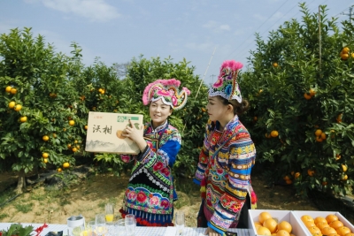 中国·永仁直苴彝族“云上赛装节” 云平台赋能新文旅经济