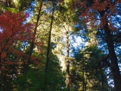 听说《司藤》是“云南旅游宣传片”？ 来看看剧中的实景到底有多带感吧