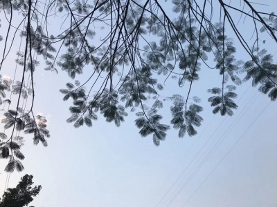 三月 一起走进蔓耗多彩的春天