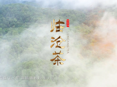 临沧市文化和旅游局文旅系列歌曲MV之《临沧茶》