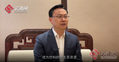 谷雨话云茶！云南网独家专访刘仲华院士：世界茶源在云南