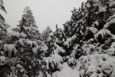 清明时节雪纷飞   走，开启轿子雪山赏雪模式！