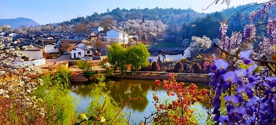 多图 | 大理鹤庆奇峰村梨花成海美如画