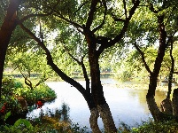 图集 | 昆明永昌湿地