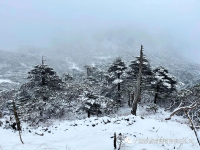 来自4月的惊喜！苍山下雪了！