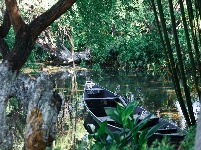 图集 | 昆明永昌湿地