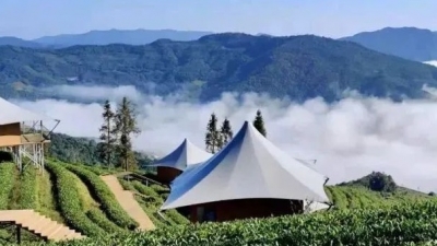 【暖心】一封特别的信，折射云南旅游之变