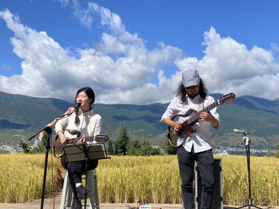 “小大理”凤羽的“文艺复兴”