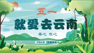 全国各地游客入滇，他们说：安全、开心，推荐大家来云南！