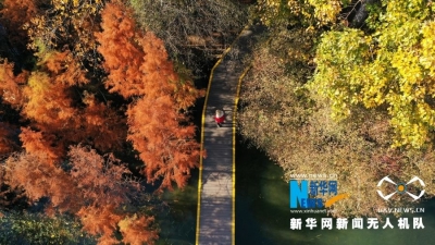 云南省委省政府现场办公会“后观察”：大理步不停 大道正当行